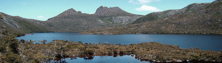 banner_cradle.jpg - 78.61 KB